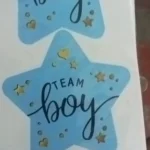 60/120pcs Team Boy Team Girl Stickers Boy or Girl Sticker for Gender Reveal Party Decoration Baby Shower Supplies Gift Box Label