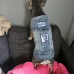 Dog Jeans Jacket Cool Puppy Denim Dog Shirts for Small Medium Dogs Cats Lapel Harness Vests Washed Scratch Design Dog Clothes