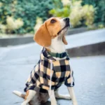 Dog Winter Coat Pet Jacket Plaid Reversible Vest Cold Weather Dog Clothes Pet Apparel for Small Medium Large Dogs