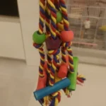 Parrot Chew Toy Cotton Rope Birds Toy Bite Bridge Bird Tearing Toys Cockatiels Training Hang Swings Birds Cage Supplies