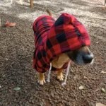 Dog Winter Coat Pet Jacket Plaid Reversible Vest Cold Weather Dog Clothes Pet Apparel for Small Medium Large Dogs