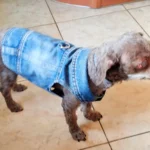 Dog Jeans Jacket Cool Puppy Denim Dog Shirts for Small Medium Dogs Cats Lapel Harness Vests Washed Scratch Design Dog Clothes