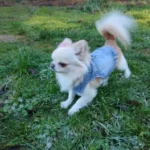 Dog Jeans Jacket Cool Puppy Denim Dog Shirts for Small Medium Dogs Cats Lapel Harness Vests Washed Scratch Design Dog Clothes