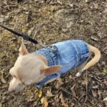 Dog Jeans Jacket Cool Puppy Denim Dog Shirts for Small Medium Dogs Cats Lapel Harness Vests Washed Scratch Design Dog Clothes