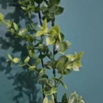 1/2Piece Artificial Vine Home Decor Artificial Ivy Leaf Garland Plants Vine Fake Foliage Flowers Creeper Green Ivy Wreath