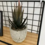 Mini Artificial Aloe Plants Bonsai Small Simulated Tree Pot Plants Fake Flowers Office Table Potted Ornaments Home Garden Decor