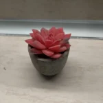 Mini Artificial Aloe Plants Bonsai Small Simulated Tree Pot Plants Fake Flowers Office Table Potted Ornaments Home Garden Decor