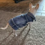 Dog Jeans Jacket Cool Puppy Denim Dog Shirts for Small Medium Dogs Cats Lapel Harness Vests Washed Scratch Design Dog Clothes