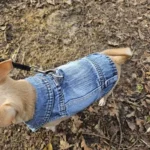 Dog Jeans Jacket Cool Puppy Denim Dog Shirts for Small Medium Dogs Cats Lapel Harness Vests Washed Scratch Design Dog Clothes