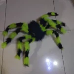 150/200cm Black Scary Giant Spider Huge Spider Web Halloween Decoration Props Haunted House Holiday Outdoor Giant Decoration