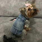 Dog Jeans Jacket Cool Puppy Denim Dog Shirts for Small Medium Dogs Cats Lapel Harness Vests Washed Scratch Design Dog Clothes