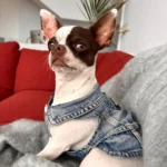 Dog Jeans Jacket Cool Puppy Denim Dog Shirts for Small Medium Dogs Cats Lapel Harness Vests Washed Scratch Design Dog Clothes