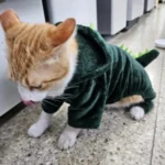 Pet Cat Dog Halloween Dog Clothes for Small Dogs Funny Dinosaur Cosplay Costume Winter Warm Cat Coat Fleece Hoodies Sweater