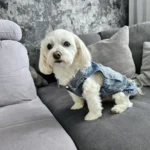 Dog Jeans Jacket Cool Puppy Denim Dog Shirts for Small Medium Dogs Cats Lapel Harness Vests Washed Scratch Design Dog Clothes