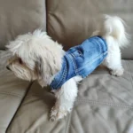 Dog Jeans Jacket Cool Puppy Denim Dog Shirts for Small Medium Dogs Cats Lapel Harness Vests Washed Scratch Design Dog Clothes