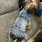 Dog Jeans Jacket Cool Puppy Denim Dog Shirts for Small Medium Dogs Cats Lapel Harness Vests Washed Scratch Design Dog Clothes