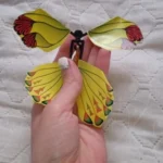 Magic Flying Butterflies Wind Up Toy In The Sky Bookmark Greeting Cards Rubber Band Powered Kids Magic Props Surpris Gift