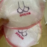 Fine Mesh Embroidered Bra Lingerie Underwear Dirty Clothes Laundry Bags Washing Machine Washable Mesh Laundry Basket Bag Clean